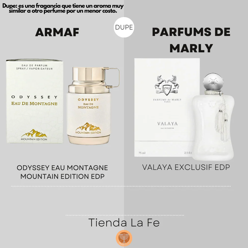 Armaf Odyssey Eau de Montagne Men 100ml EDP